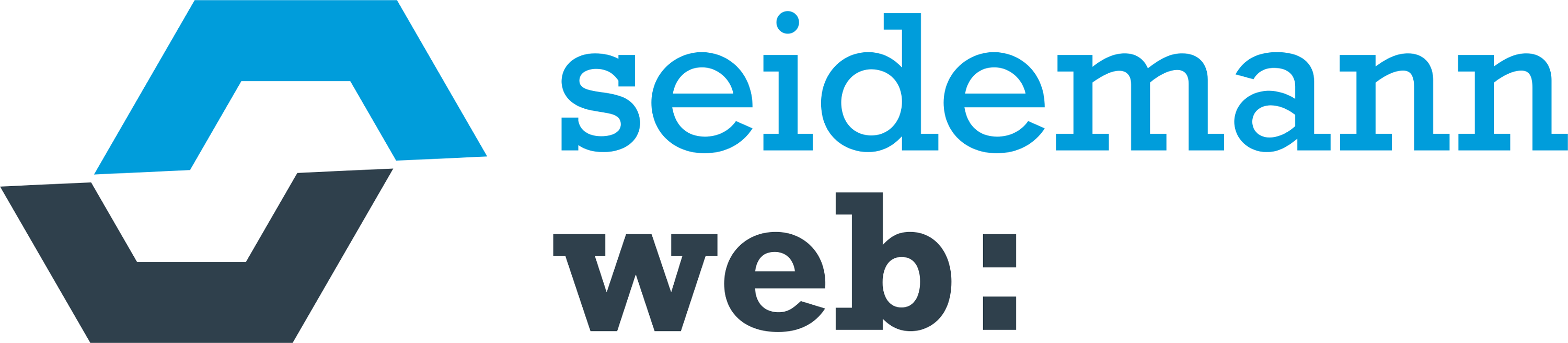 Seidemann Web GmbH